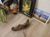 2Ц#5  Штопор виробництва Франціі з виноградної лози