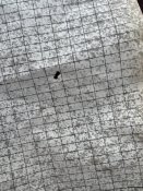 IMG_3113.jpeg