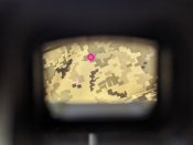 Eotech XPS2-0