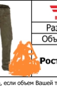 1734059728487.jpg
