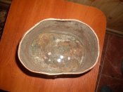 SDC13206.JPG