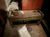 IMG_0563.jpeg