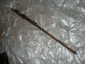 DSC04471.JPG