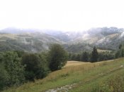 Фото0958.jpg