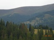 DSCN6385.JPG