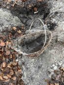 IMG_1152.JPEG
