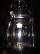 IMG_2408.JPG