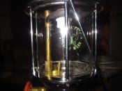 IMG_2419.JPG