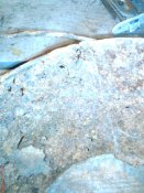DSC00448.JPG