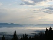 DSC02673.JPG