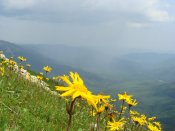 DSC04702.JPG