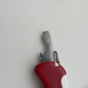 IMG_20241228_112545.jpg