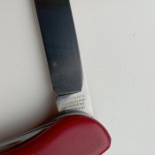 IMG_20241228_112632.jpg