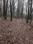 PXL_20241224_113235041.jpg