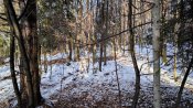 IMG_20241229_111228.jpg