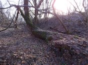 DSCN6090.JPG