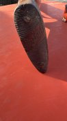 IMG_0310.jpeg
