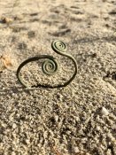 IMG_0176.jpeg