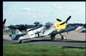 Warbird.jpg
