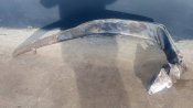 Ціле Велике крило крилатої ракети Х 101 . Довжина 1, 80 м.