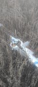 IMG-20250109-WA0016.jpg