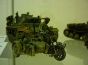 tm7.jpg