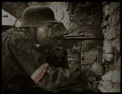 Poland partisan.jpg