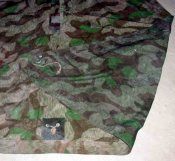 DSCI4448.JPG