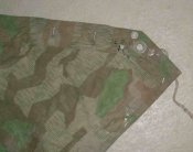 DSCI4449.JPG