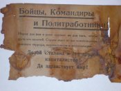 P1000733.jpg