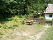 100_2416.jpg