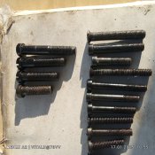 IMG_20250117_105549.jpg