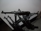 SAM_4039.JPG