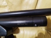 IMG_20250119_200802.jpg