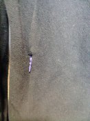 IMG_20241024_121743.jpg
