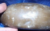 DSC03403.JPG
