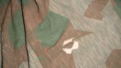 DSC05453.JPG