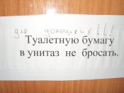 Изображение 355.jpg