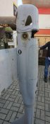 Збитий орлан-10
