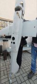 Збитий орлан-10