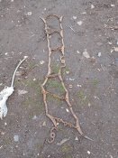 IMG_20250128_133818.jpg