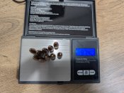 Пуля 7,62 депулена магнітна чеська