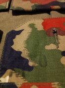 IMG_20250127_220157_183.jpg