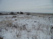 DSC00011.JPG
