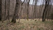 IMG_20250130_130030.jpg