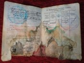 Жетон та військовий квиток орка-гвардійця.