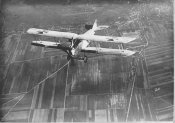 Albatros2.jpg