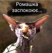 IMG-c92378ce33abc32a850234594663cfe4-V.jpg