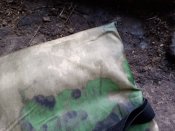 Кацапський підсрачник Мох
