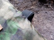 Кацапський підсрачник Мох